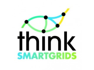 Think Smartgrids